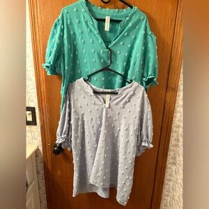 Amazon Swiss dot set 2 tops XXL turquoise and powder blue EUC  plus ruffle 2X